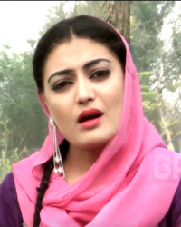 Gul Rukhsar